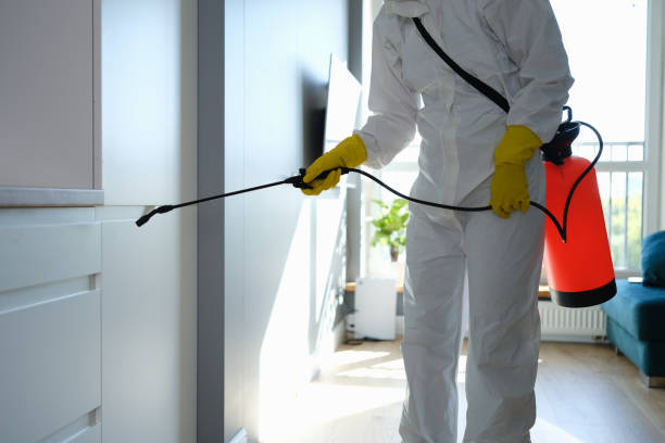 Best Industrial Mold Remediation in Caoncito, NM